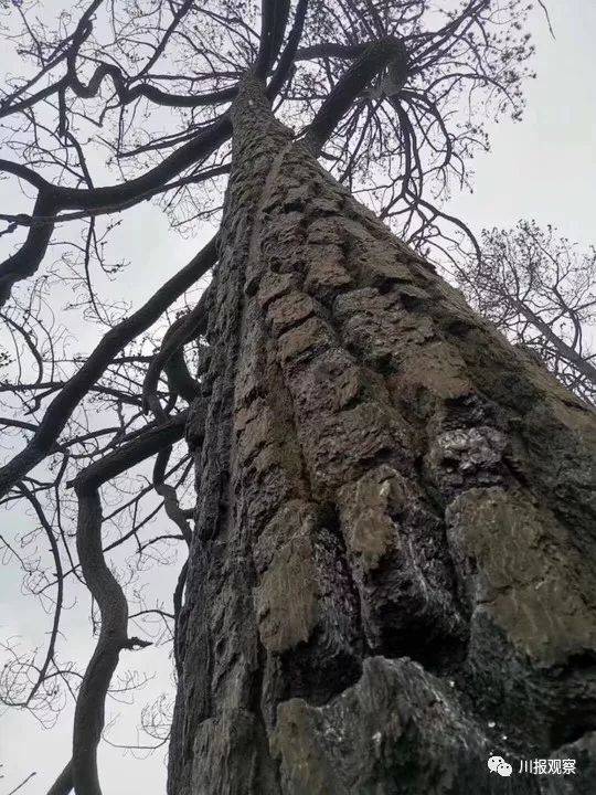 澳门新葡澳京官网